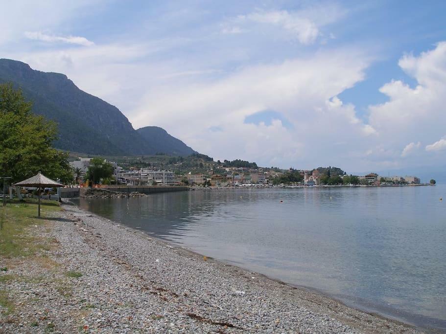 Anastasia - Efthimios Apartments Agios Konstantinos  المظهر الخارجي الصورة